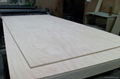 18mm Okoume Face Furniture Plywood 2