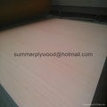 White Melamine Laminated MDF 4