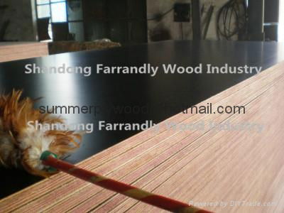 Brown Film Faced Plywood for Construction 4