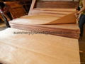 Hardwood Face Veneer for Plywood 