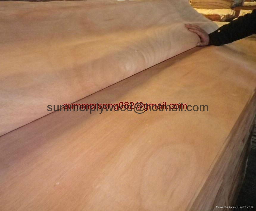 Hardwood Face Veneer for Plywood  2