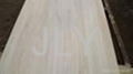 paulownia plywood