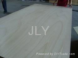 paulownia plywood  2