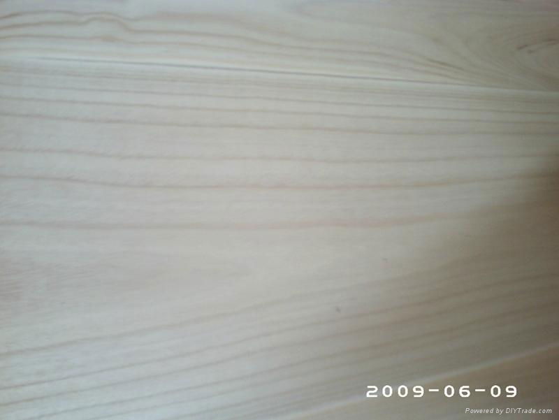 paulownia boards  3