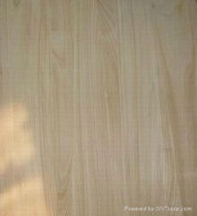 paulownia laminated  board