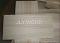 Paulownia edged glued Panels 3