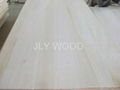 Paulownia edged glued Panels 5