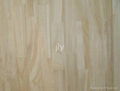 Paulownia finger jointed  board