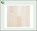 Paulownia finger jointed  board  4