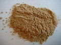 Tribulus Terrestris Extract 1