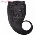 Clip In Natural Remy Human Hair Extensions Double Drawn Top Quality  1