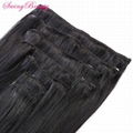 Clip In Natural Remy Human Hair Extensions Double Drawn Top Quality 