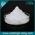 Anatase Titanium Oxide Printing Powder 1