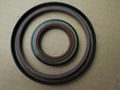 oil seal 1