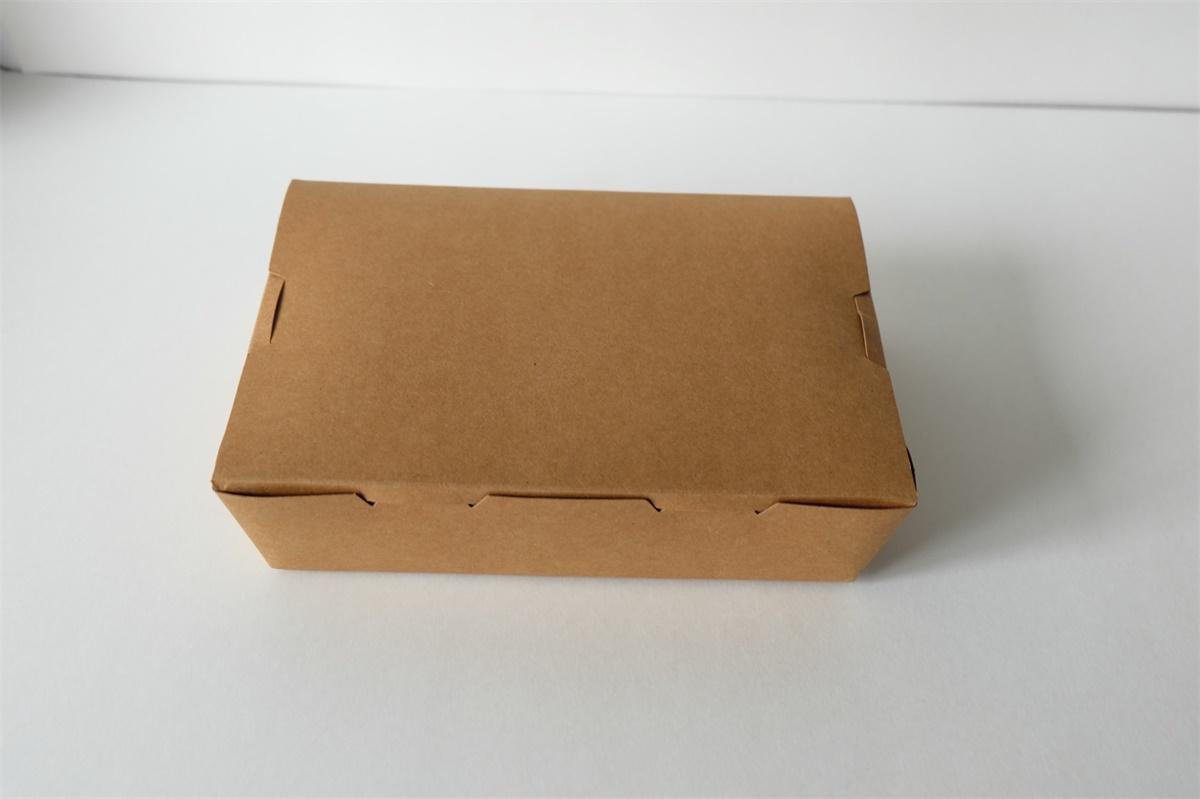 paper food box 2