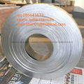 titanium strip,titanium foil