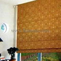 Bintronic Motorized Roman Blinds 5