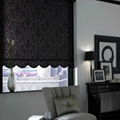 Bintronic Motorized Roller Blinds 4