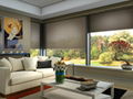 Bintronic Motorized Cellular Blinds 1