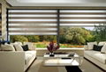 Bintronic Motorized Sheer Roller Blinds 1