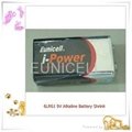 9V 6LR61 Alkaline Battery