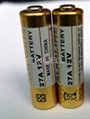 27A A27 MN27 V27GA 12v Alkaline Batteries for remote control (Eunicell brand)
