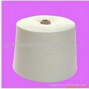 Polyester filament 3
