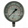 Stainless steel test pressure gauges