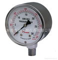 Pressure gauges with capsule elements