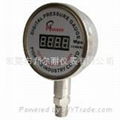 Remote pressure gauge 2