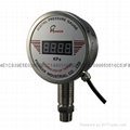 Remote pressure gauge