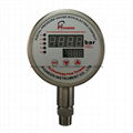 Remote pressure gauge 4