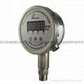 Remote pressure gauge 6