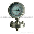 Stainless steel diaphragm gressure gauge