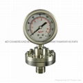 Stainless steel diaphragm gressure gauge