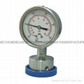 Stainless steel diaphragm gressure gauge