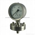 Stainless steel diaphragm gressure gauge