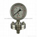 Stainless steel diaphragm gressure gauge