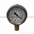 Vacuum Pressure Gauge 3