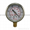 Vacuum Pressure Gauge 9