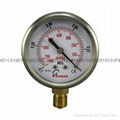 Vacuum Pressure Gauge