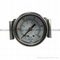  normal pressure gauge