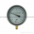 Stainless steel test pressure gauges