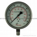 Stainless steel test pressure gauges 3