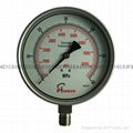 Stainless steel test pressure gauges 5