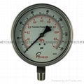 Stainless steel test pressure gauges