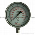 Stainless steel test pressure gauges 10