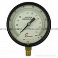 Stainless steel test pressure gauges