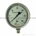 Stainless steel test pressure gauges 11