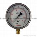 Stainless steel test pressure gauges 13